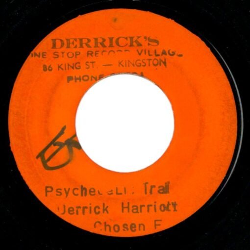 Derrick Harriott - Psychedelic Train