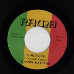 Yardgroove021 lzn Dennis Matumbi - Blood Ah Go Run